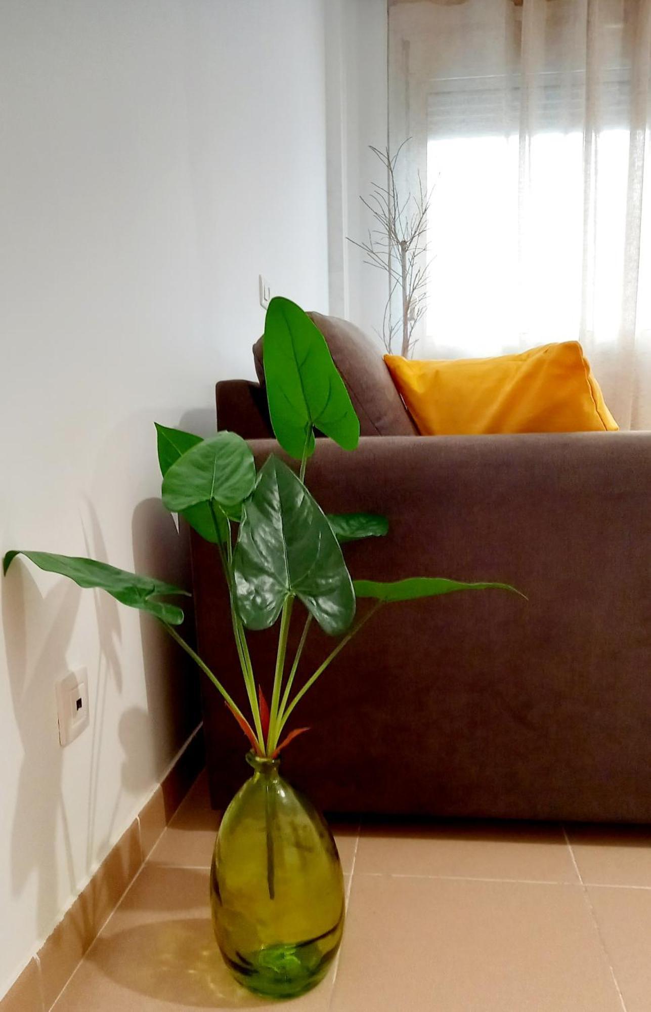 Greenhouse Sardina Ngoại thất bức ảnh